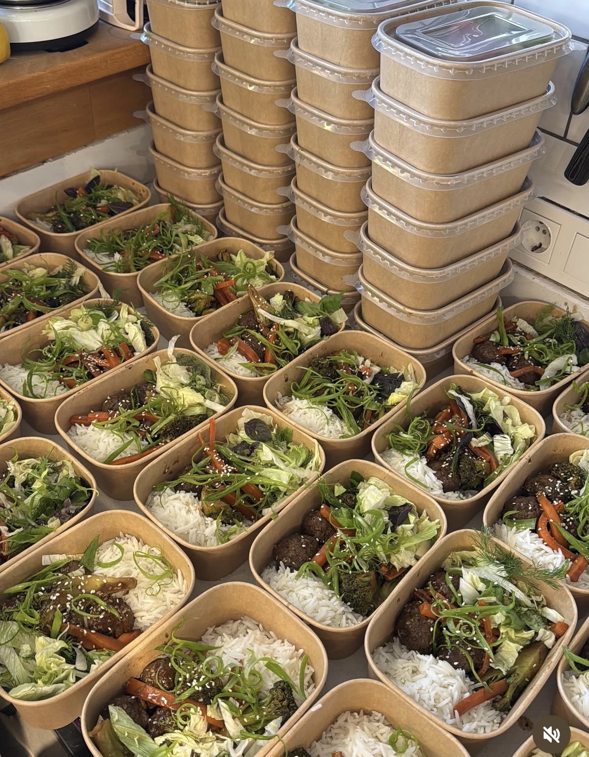 Wellness meal plan — chef-prepared weekly meals