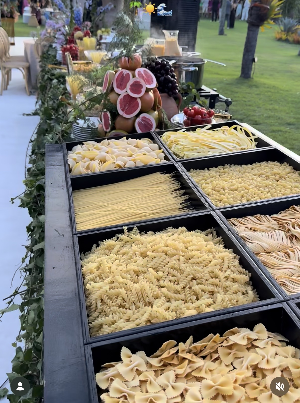 Curated pasta selection display